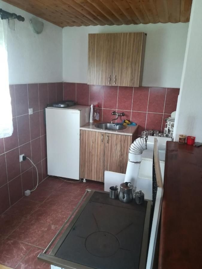 Отели типа «постель и завтрак» Kuća za odmor u prirodi Жабляк-24