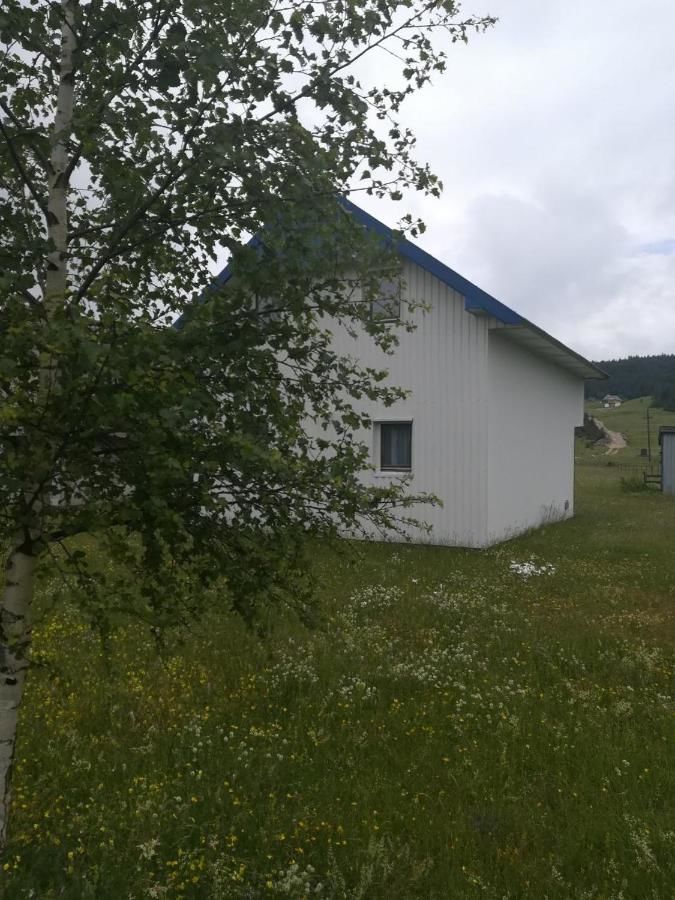 Отели типа «постель и завтрак» Kuća za odmor u prirodi Жабляк