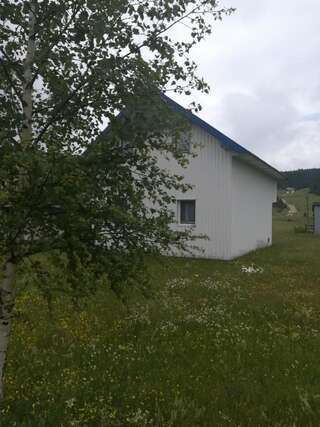 Отели типа «постель и завтрак» Kuća za odmor u prirodi Жабляк-5